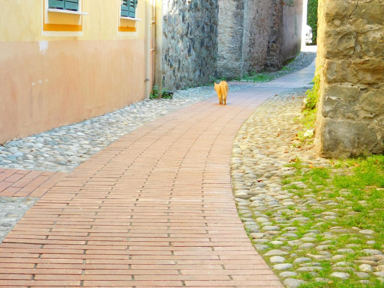 莱万托Bellissima Casa Nel Centro Storico!!!公寓 外观 照片